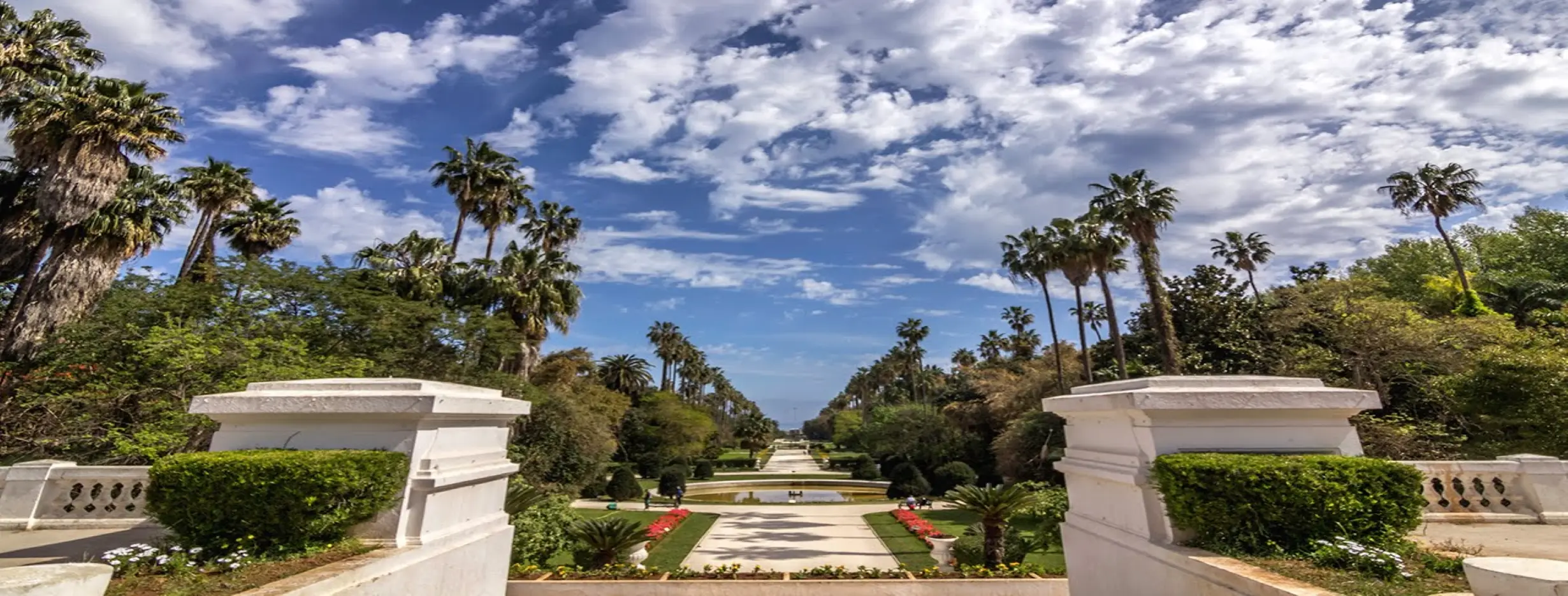Image for Le Jardin dEssai du Hamma